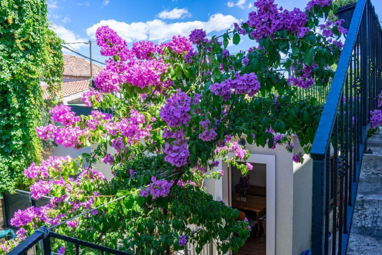 Stone House Marino Villa Trogir Dış mekan fotoğraf